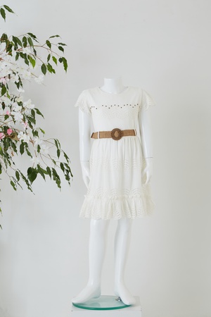 Yarım Kollu Dantel Elbise