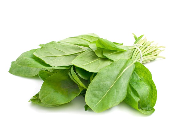 Зелень щавеля свежая