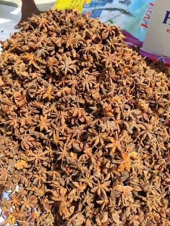 Other Essential Seasoning and Herbs by Shoushee