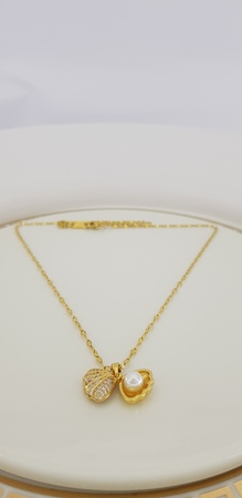 Ожерелье из библейской стали