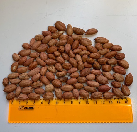 Арахис без скорлупы категория А В