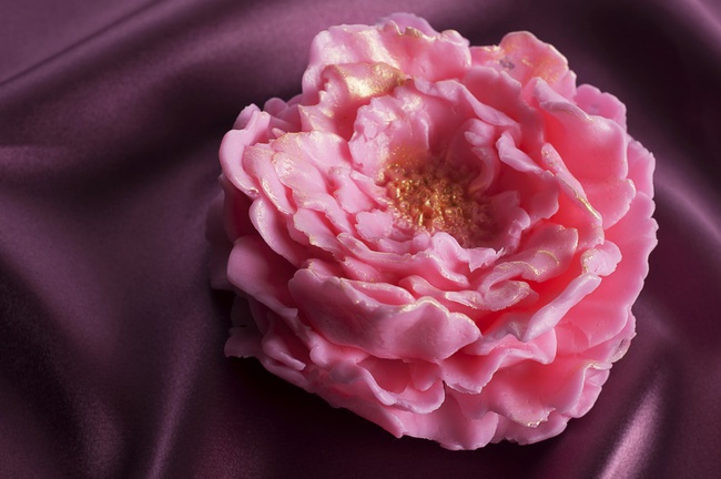 Seifenblumen Pfingstrose 3D