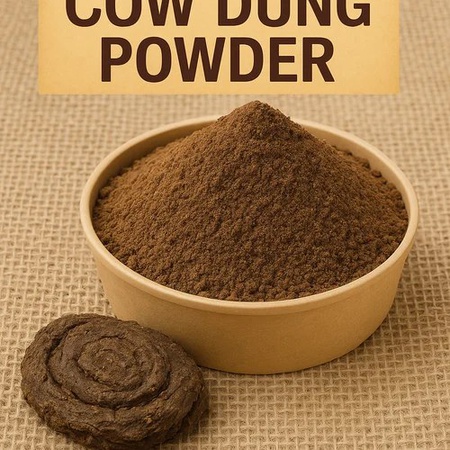 COW DUNG MANURE