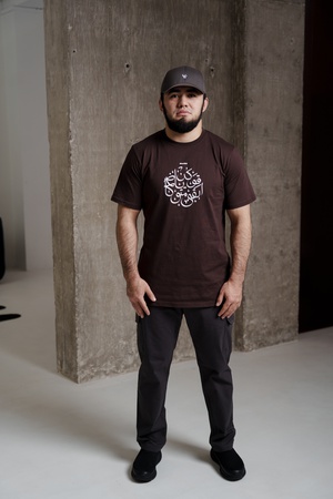 Футболка SJ-124 Brown