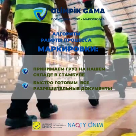 Türkiye'de Geçici Antrepo Hizmetleri ve Antrepo İşlemleri