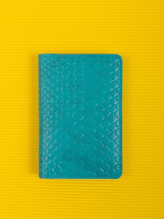 Обложка на паспорт ПТ-51