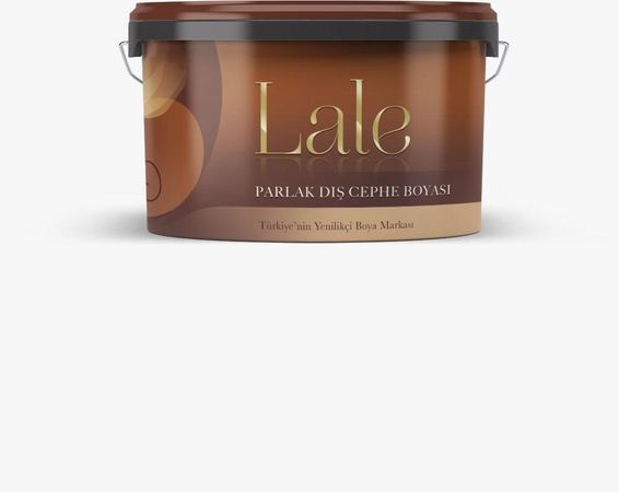 Parlak Dış Cephe Boyası