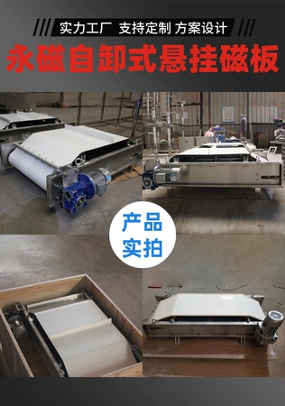 Custom Industrial Electronic Electromagnetic Belt Screw Vibrating/Weigh Loss in Weight Feeder Batching Scale Conveyor Dry Iron Remover for Coal/Cement/Limestone