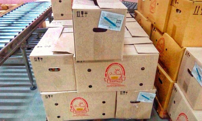 Chicken egg C-2 wholesale