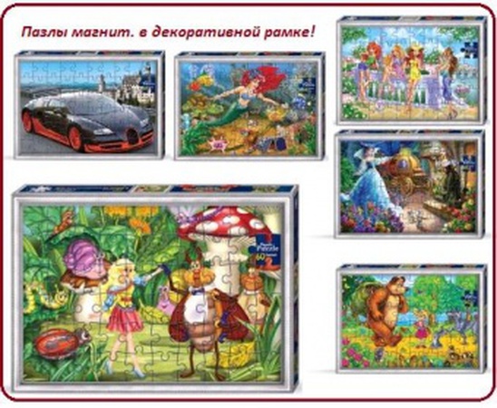 Puzzles MAGNETIC 60el. (8pcs)