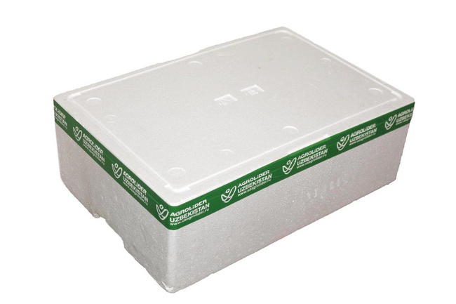 Чеснок зелёный молодой