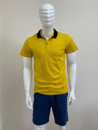 Мужские Поло