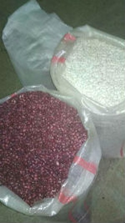 Kırmızı fasulye sınıfı &quot;Domates&quot;