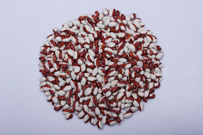 Фасоль Киргизская в ассортименте