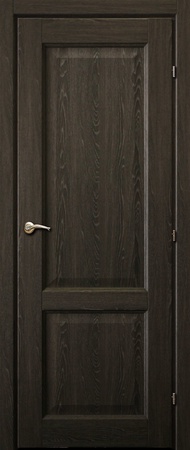 Tür 6323 DG / Schwarz Eiche