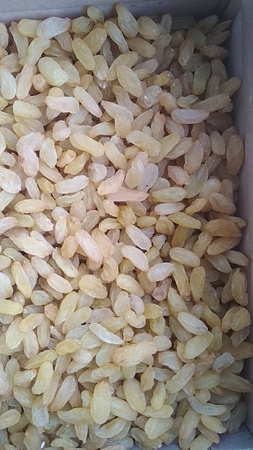 Изюм желтый жамбо. Экспорт из Узбекистана