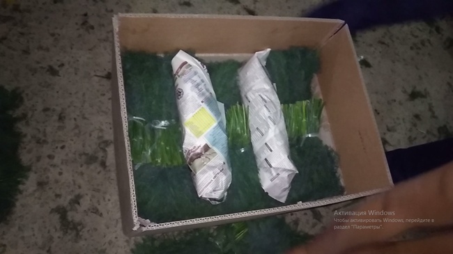 Укроп свежий Узбекистан высший сорт