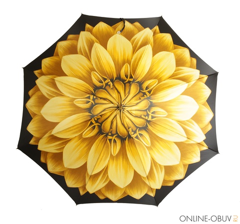 Şemsiye Pasotti J0025