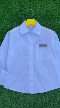 Школьные блузки