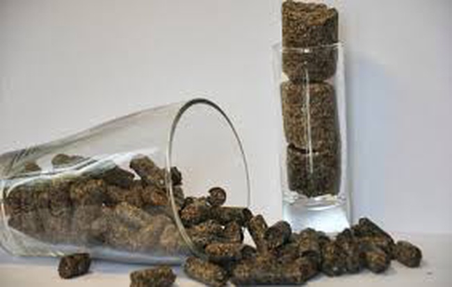 Жом свекловичный с добавкой мелассы, гранулированный (оптом)