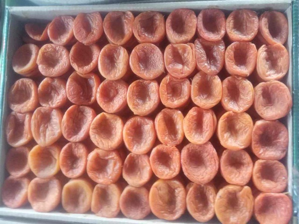 Özbekistan'daki en iyi kuru kayısı