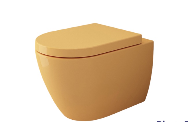 Унитаз без бортика