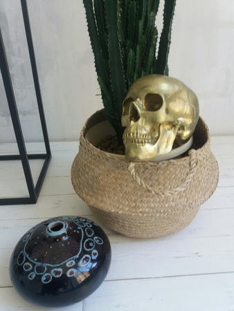 гипсовый череп