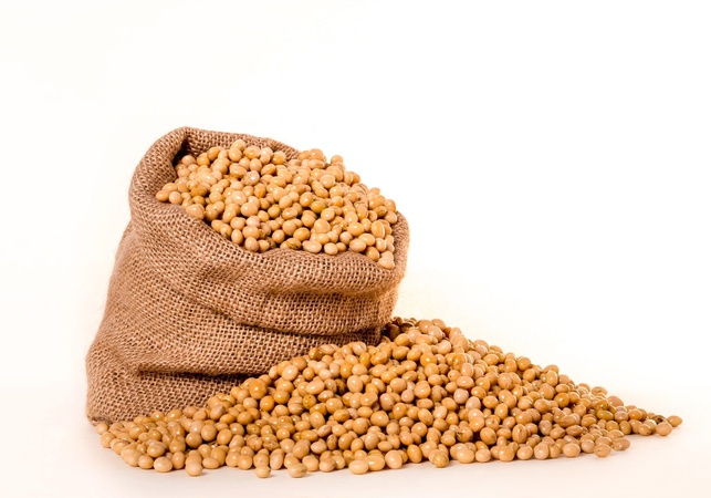 Brezilya&#39;dan soya fasulyesi