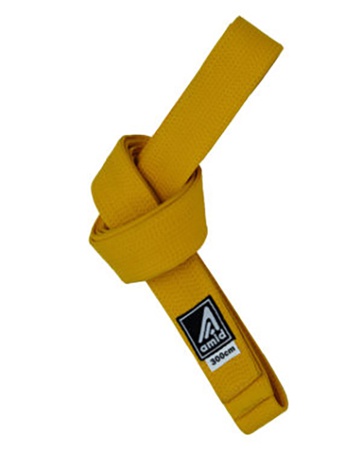 Dövüş sanatları için kemer