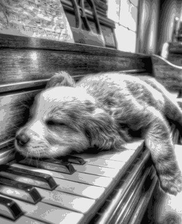 Paintings by numbers