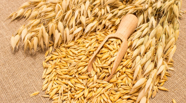 Buğday tanesi toptan satışı