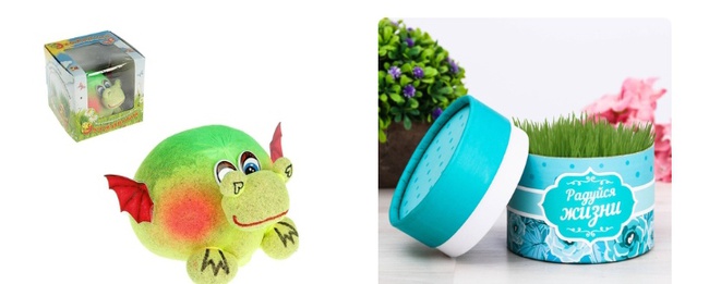 Ferienhaus und Garten. Kits für den Anbau von P & P zu Hause und für die weitere Transplantation Wir akzeptieren Bestellungen ab 1 Stk.