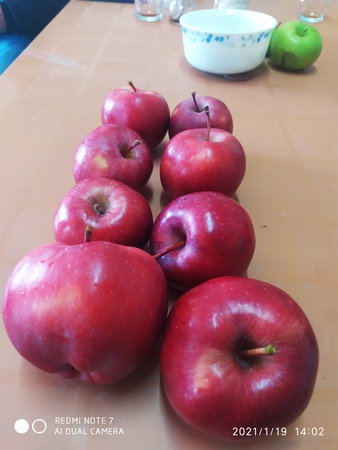 İhracat için Türkiye'den Elma