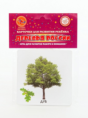 Bebek Gelişim Kartları