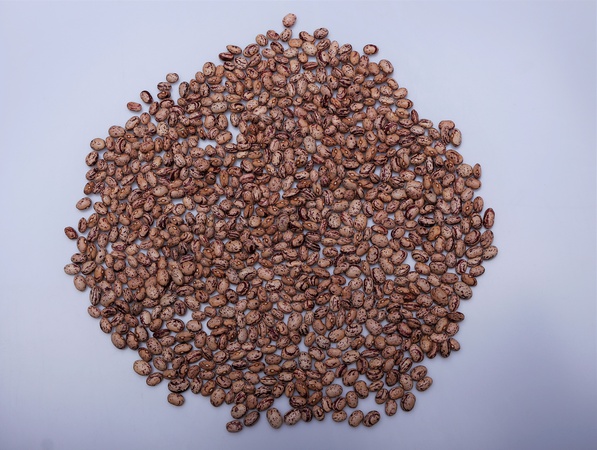 Фасоль Киргизская в ассортименте