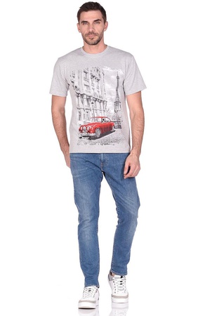 Футболка мужская (круглый воротник) серая, принт "Машина" С-0001СС