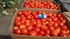 Томат сливка,  качество отличное от производителя