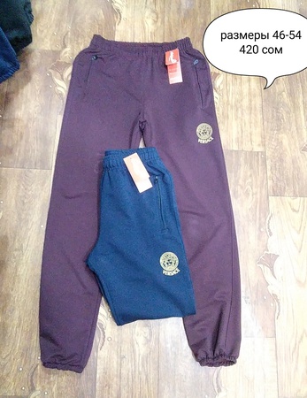 Мужские спортивные штаны. Трико