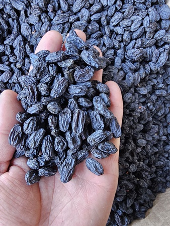 Сухофрукты в ассортименте высшее качество экспорт