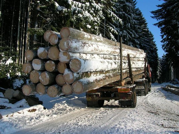 Кругляк. Круглый лес. Сосна, 1-2 сорт по ГОСТ 9463