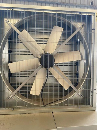 20ft Bitcoin Crypto BTC ETH LTC صندوق استضافة حاوية التعدين