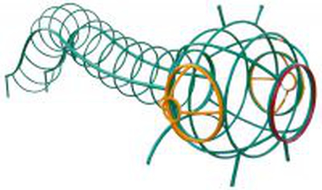 Игровые комплексы