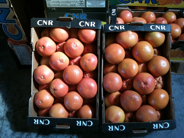 Грейпфрут Руби Ред Стар Руби Марш Хендерсон Рио Ред из Турции