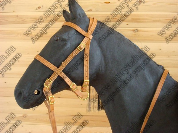 Узда-недоуздок с латунной фурнитурой