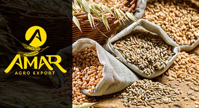 BDT ülkelerinden bakliyat ve ayçiçek yağı ihracatı