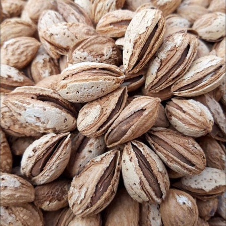 Миндаль в скорлупе