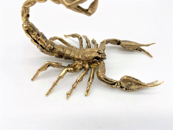 Akrep konyak bardağı