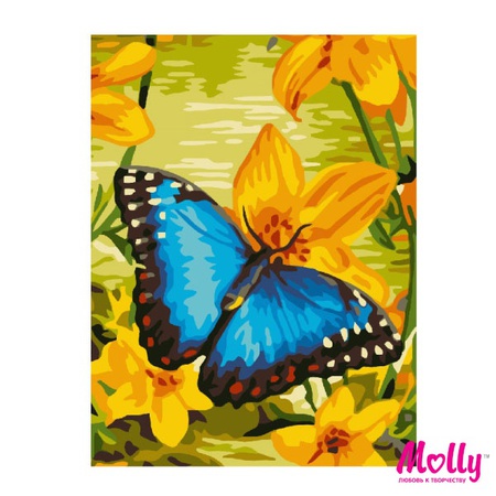 Numaraya göre boya Mavi kelebek