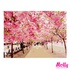 Картина по номерам Розовый парк