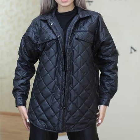 Куртка (стеганки весенние)